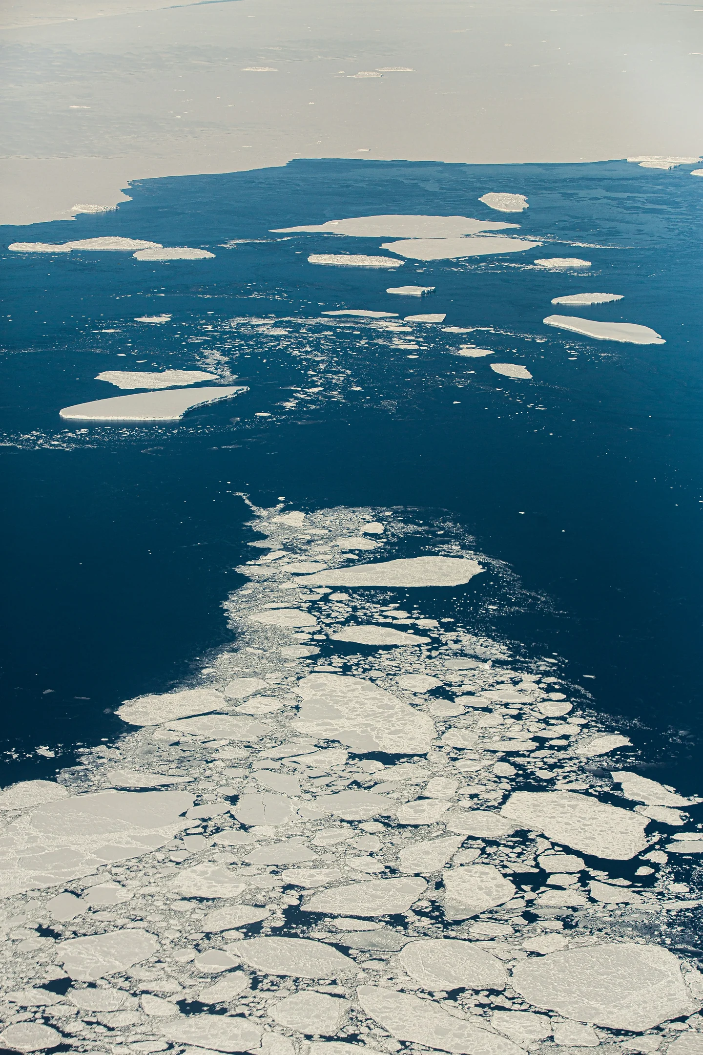 An aerial view of pale sea-ice floes scattered across blue Antarctic water