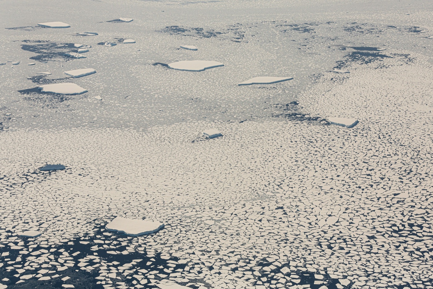 An aerial view of broad pieces of floating ice among smaller fragments on dark water.